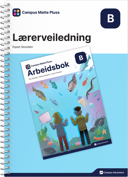 Campus Matte Pluss B Lærerveiledning