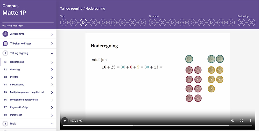Skjermbilde av videoforelesning